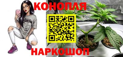 шишки Ликино-Дулёво