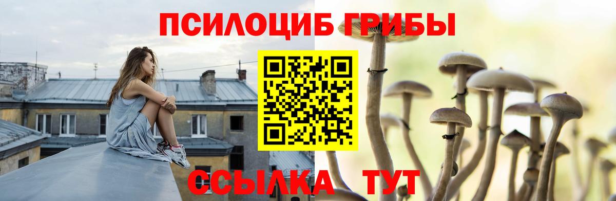 Галлюциногенные грибы мицелий  Вход с VPN  Фрязино 